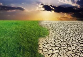 Technologies that will change the world: How to make the Sahara green again? Read about one of the best Startup Contest participants
